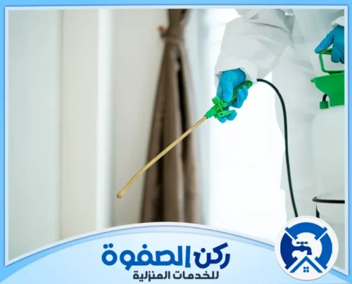 شركة رش مبيدات في دبي 0547256613 ركن الصفوة نقدم في شركتنا خدمة مكافحة الذباب والبعوض في دبي بطرق حديثة تضمن القضاء السريع على الحشرات الطائرة والحفاظ على راحة ونظافة المكان.