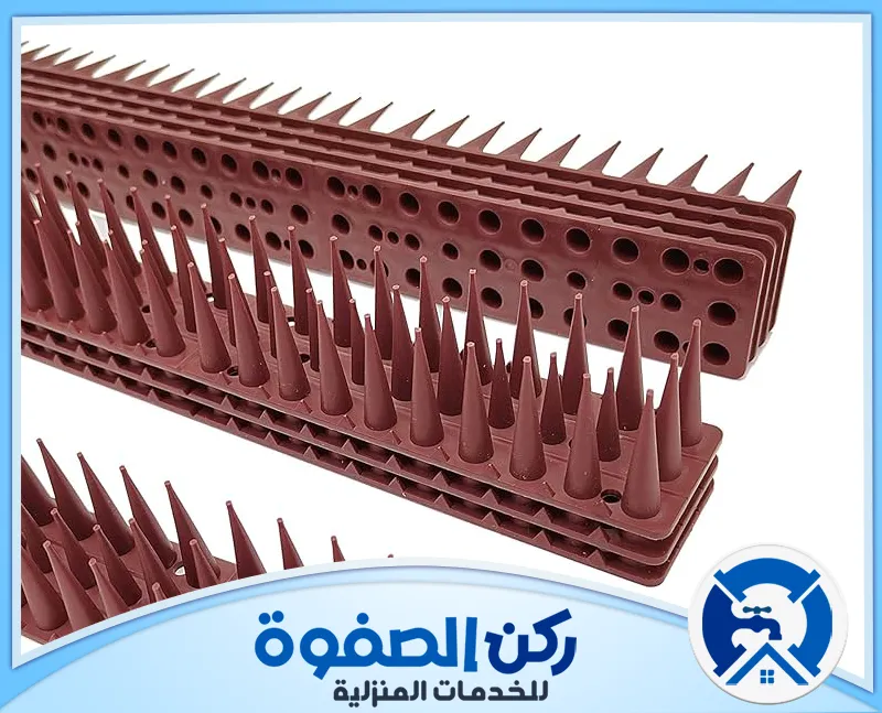 شركة مكافحة الحمام في الامارات